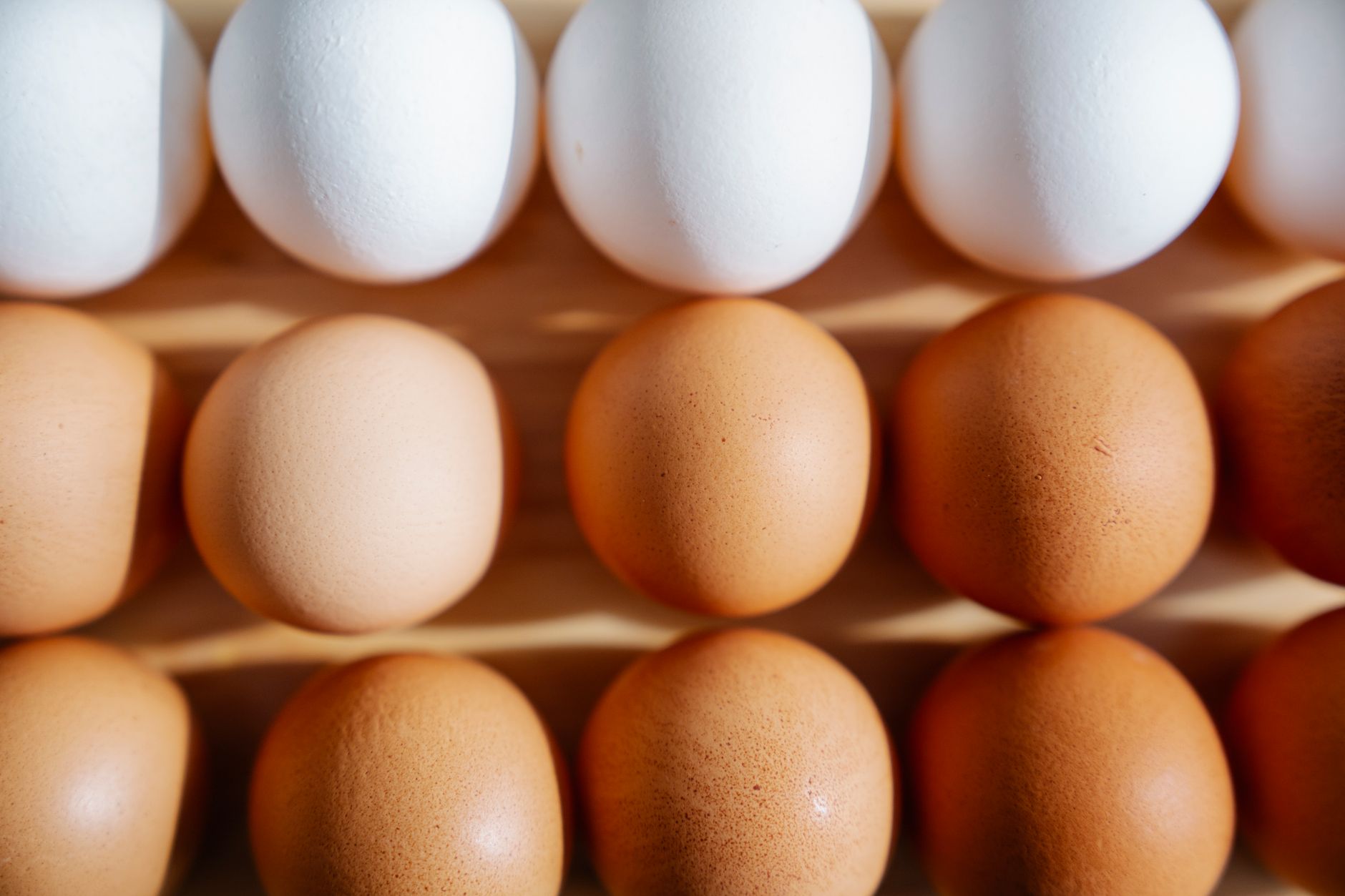 Egg Grades Meaning: Understanding What Egg Grades Really Mean