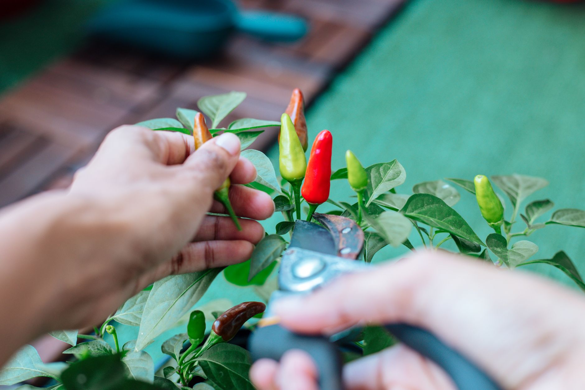 How To Freeze Chili Without Losing Flavor or Texture