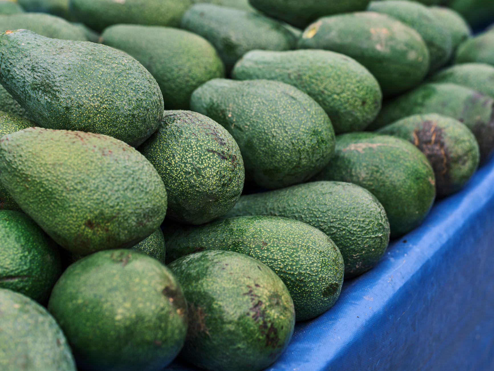 Frozen Avocado Margarita: Creamy, Refreshing Twist on a Classic