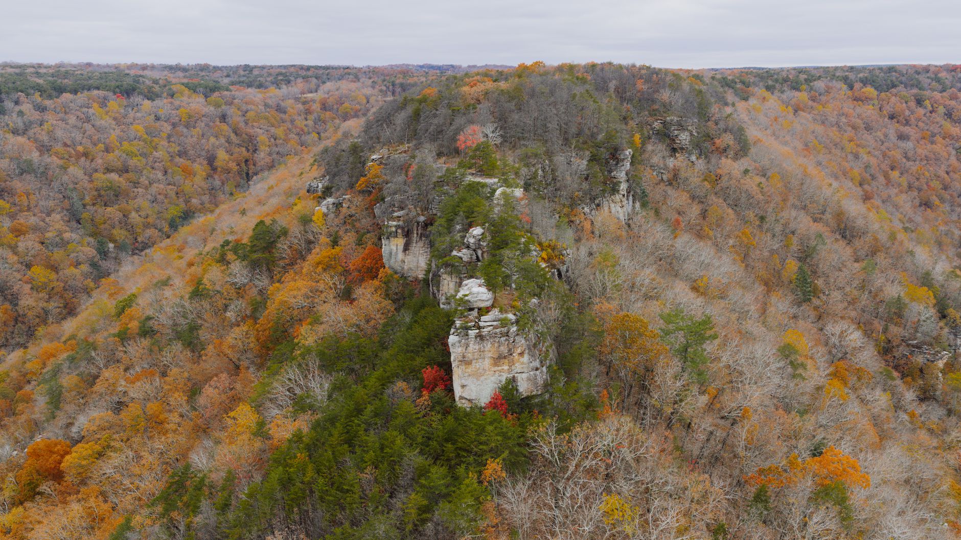 Little Debbie Park Tennessee: A Sweet Family Adventure