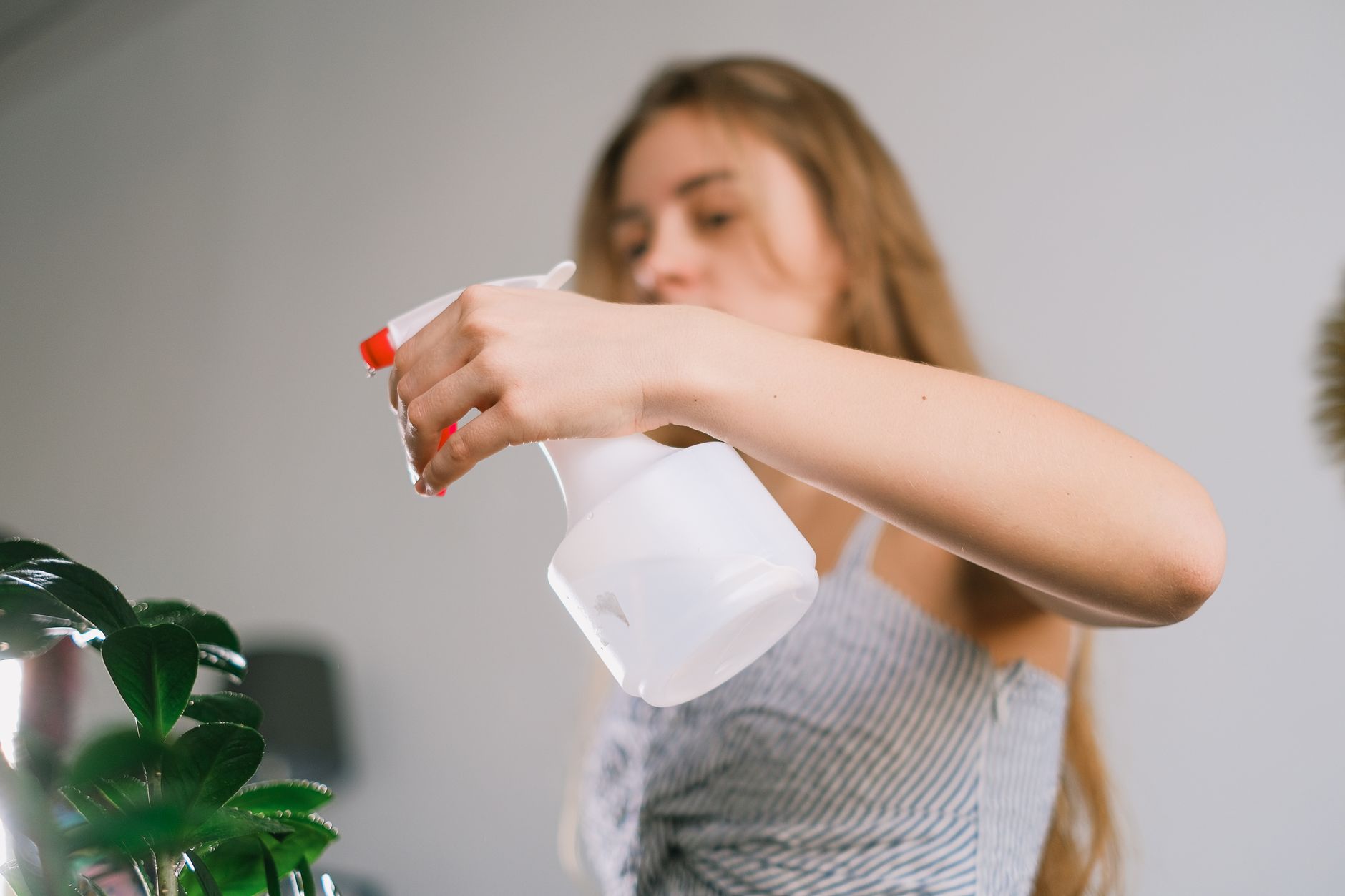Make Room Spray: Save Money With an Easy Stove-Top Recipe