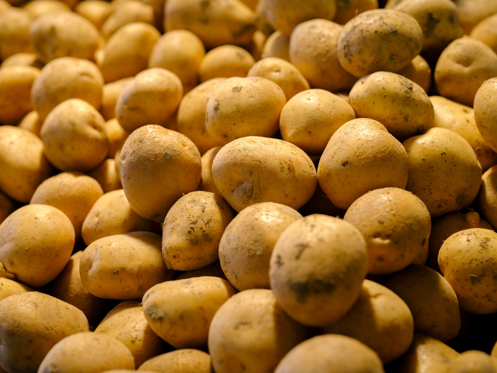 How Many Potatoes Per Pound: A Practical Guide for Every Kitchen