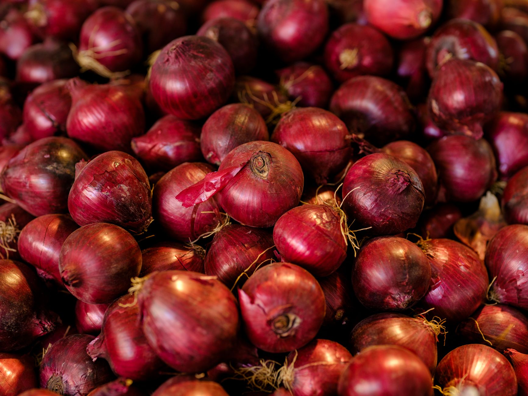 Red Onions Meaning: Why They’re Called Red Even Though They're Purple