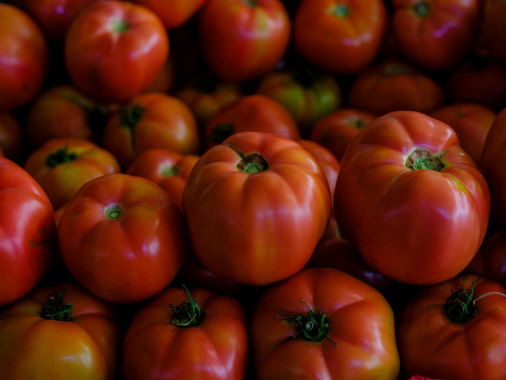 How to Choose Ripe Tomatoes for Fresh, Flavorful Dishes
