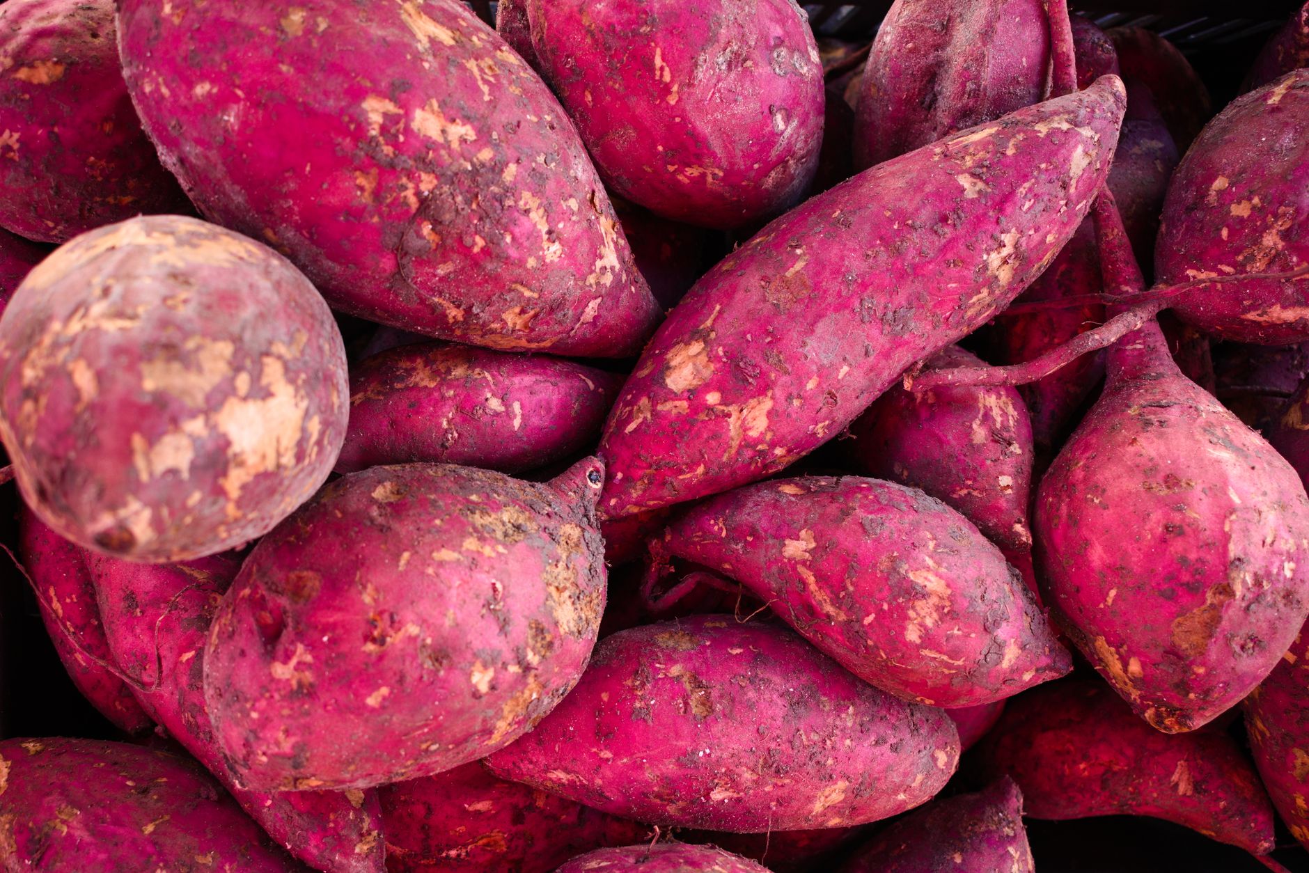 Sweet Potatoes Difference: Key Facts You Should Know
