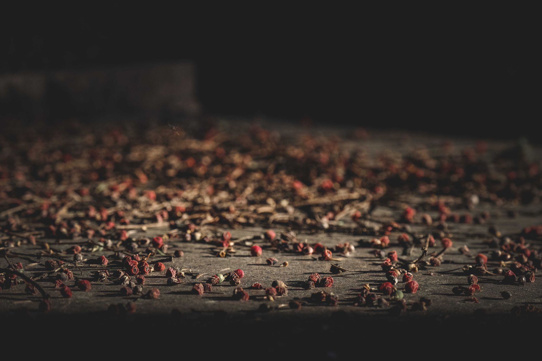 Szechuan Buttons: This Unique Flower Transforms Your Taste Buds