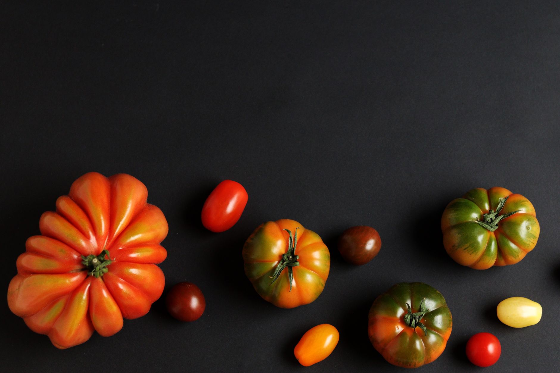 Tomato Paste Differences: Canned vs Tubed Explained