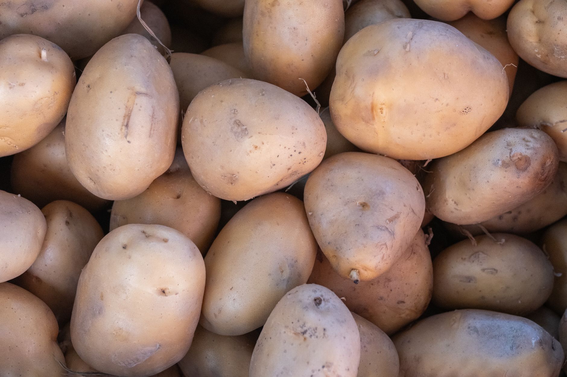 Waxy vs Starchy Potatoes: What Sets Them Apart and How to Use Each