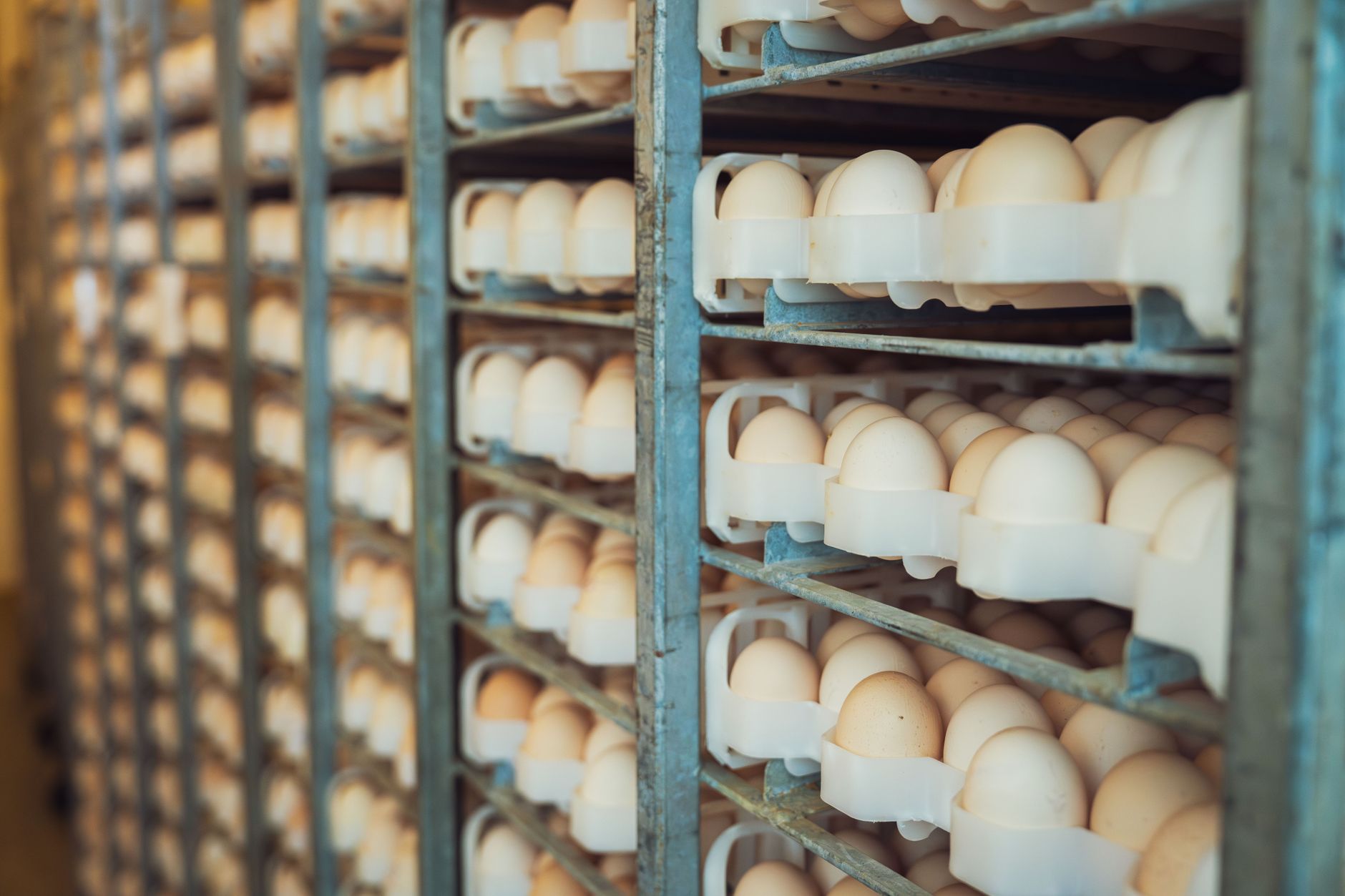 How Long Do Eggs Last In The Refrigerator?