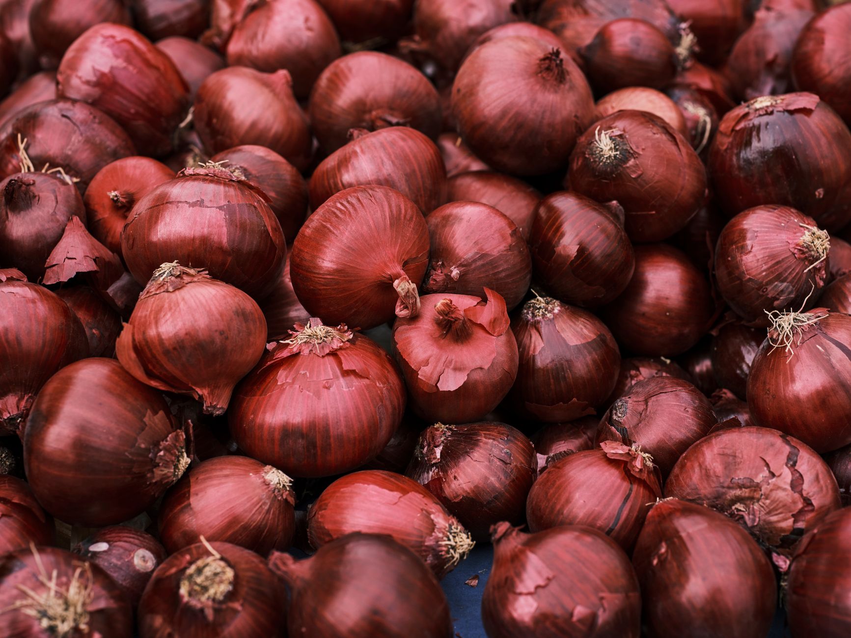 12 Onion Substitutes That Work Remarkably Well