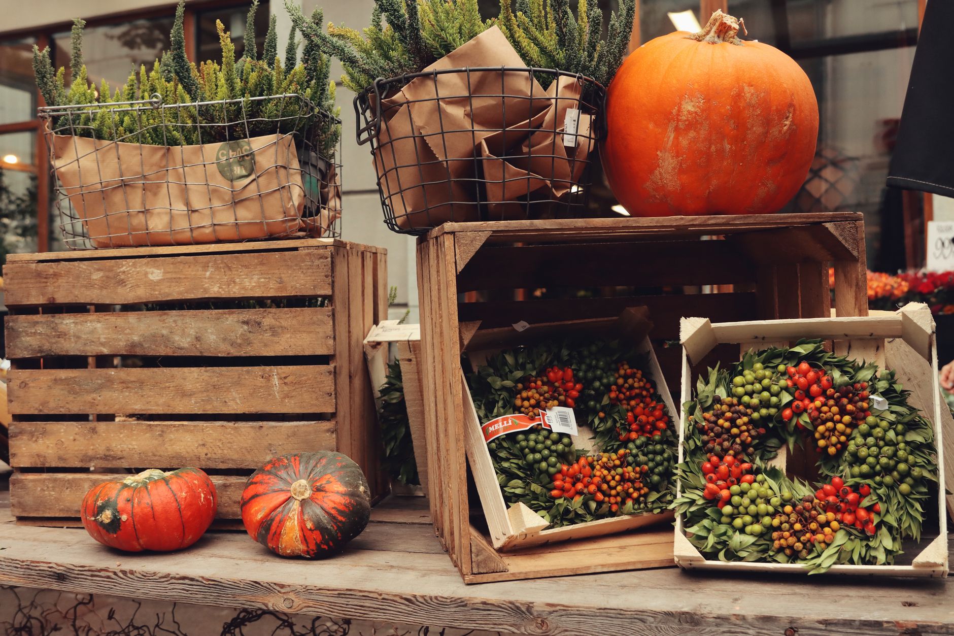 Seven Trader Joe's Fall Favorites We Hope to See Again This Year