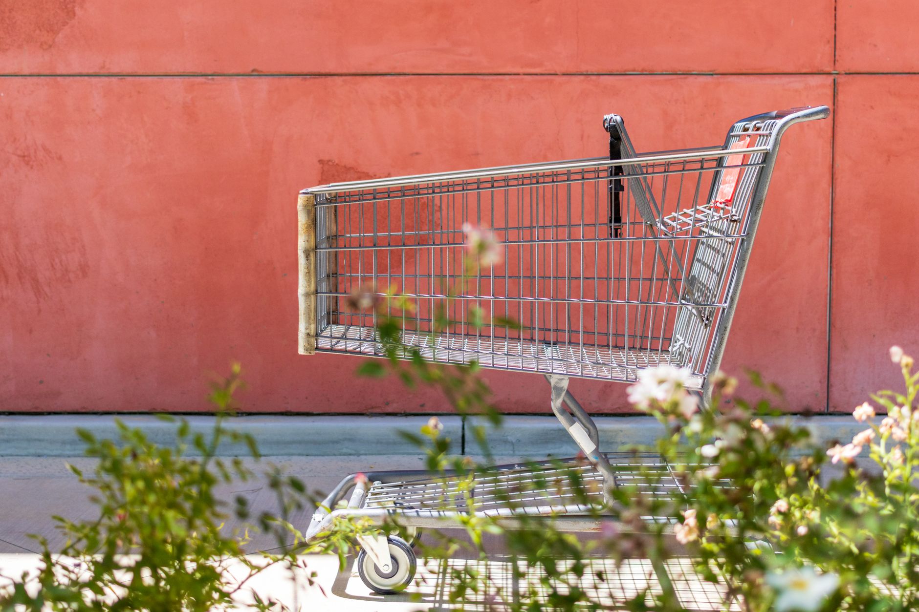 Trader Joe's Locations: 8 US States Without a Single Store
